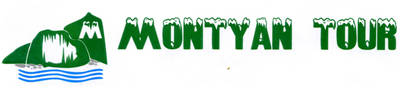 light logo